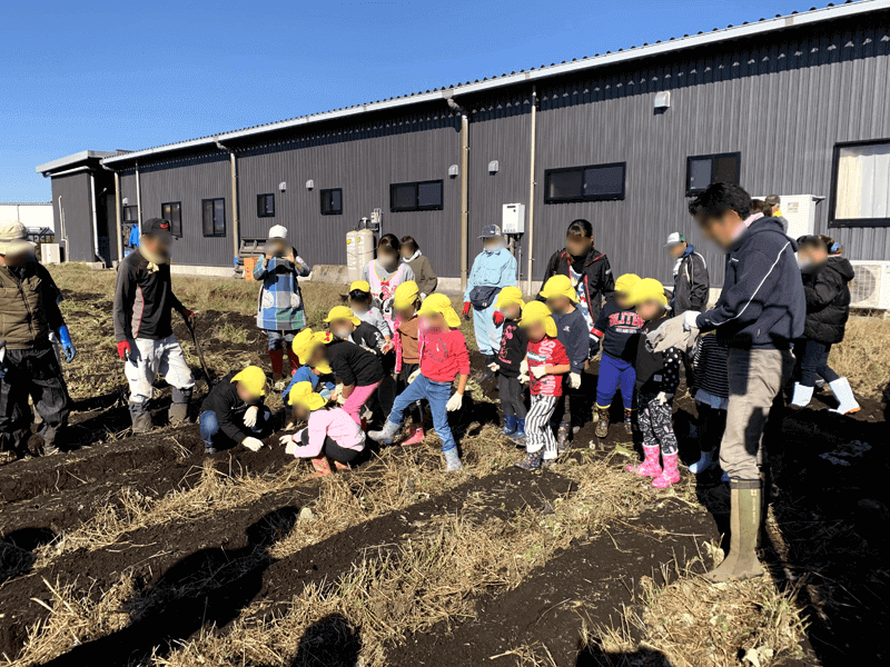 地元子供達と野菜収穫